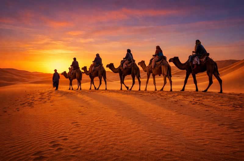 Camel Experiences