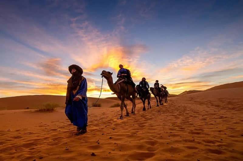 Camel Experiences — 1