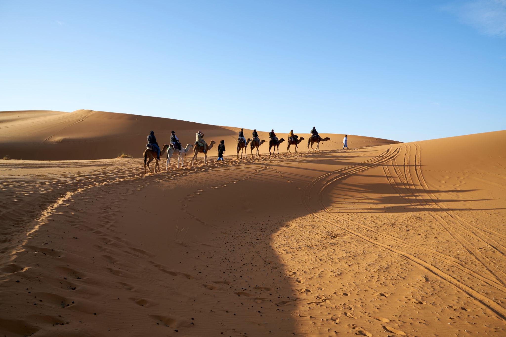 Camel Experiences — 2