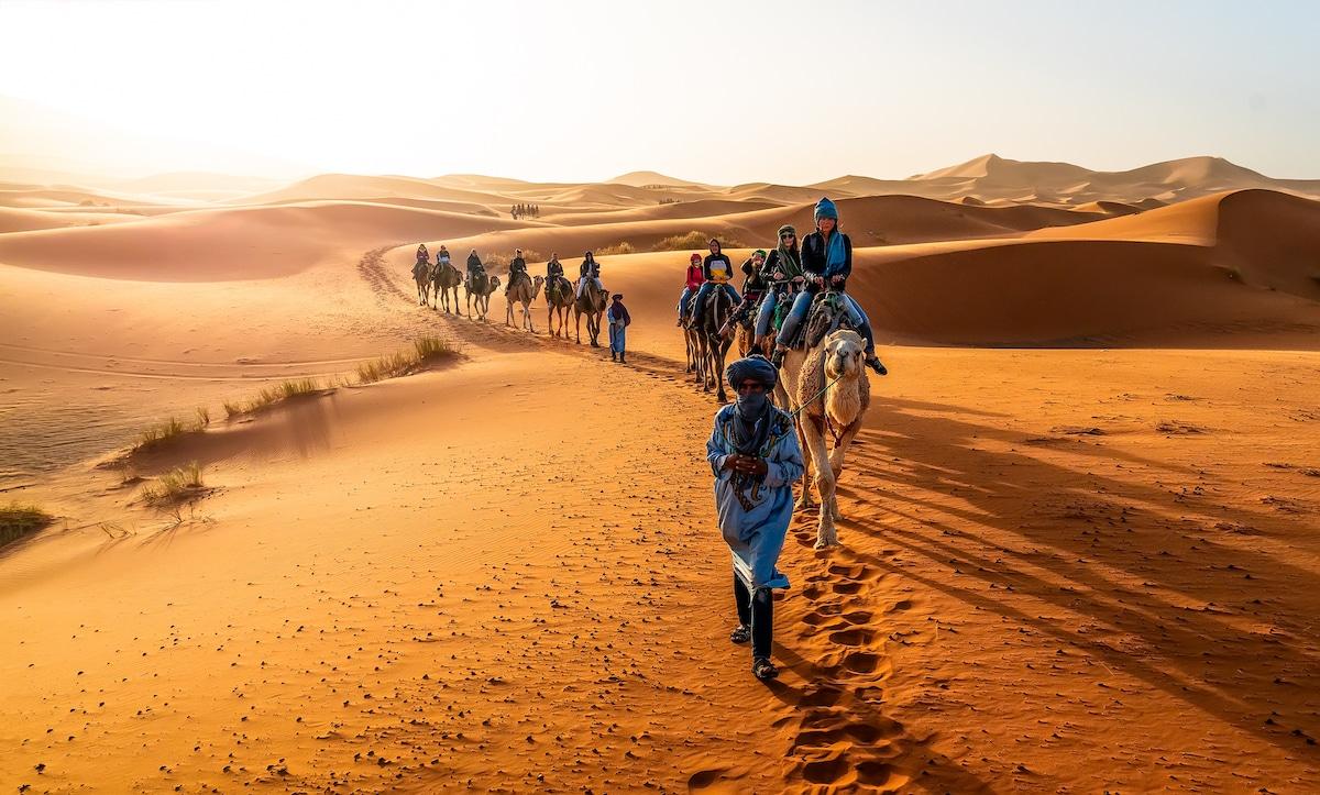 Camel Experiences — 4