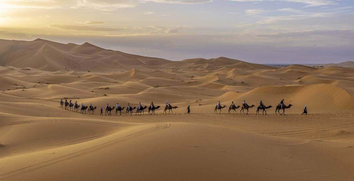 Sahara Desert
