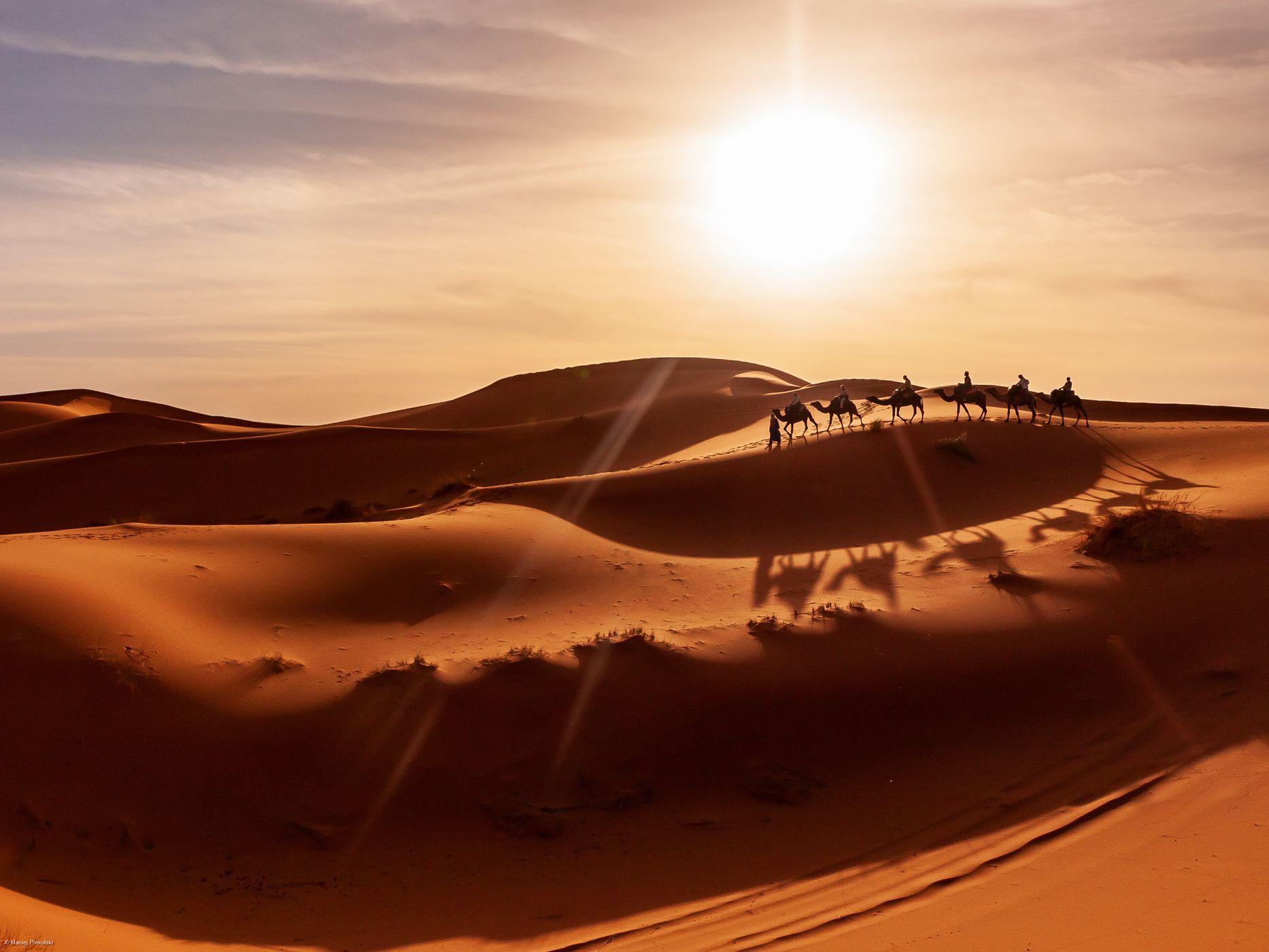 Sahara Desert Adventures — 2