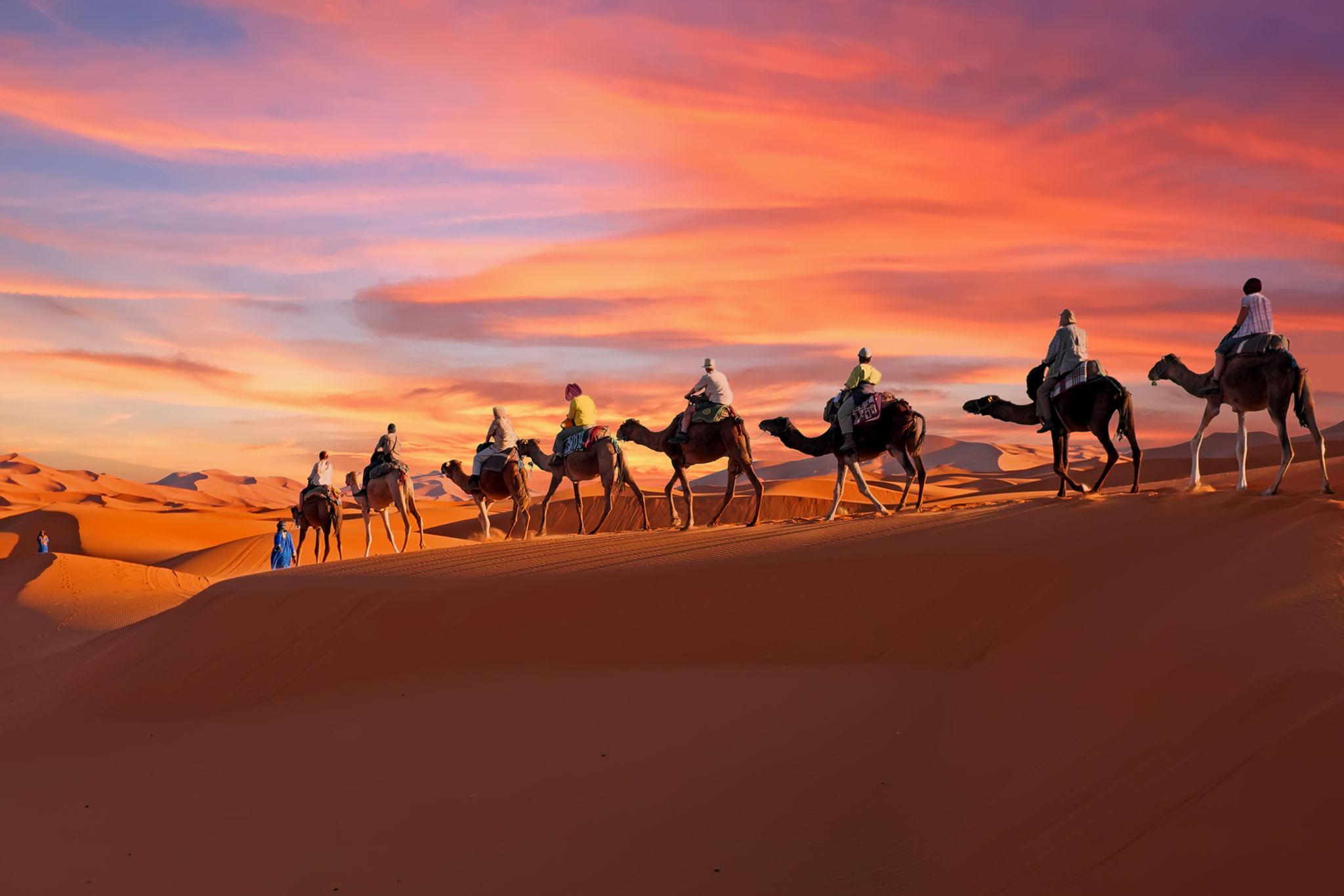 Sahara Desert Adventures — 3