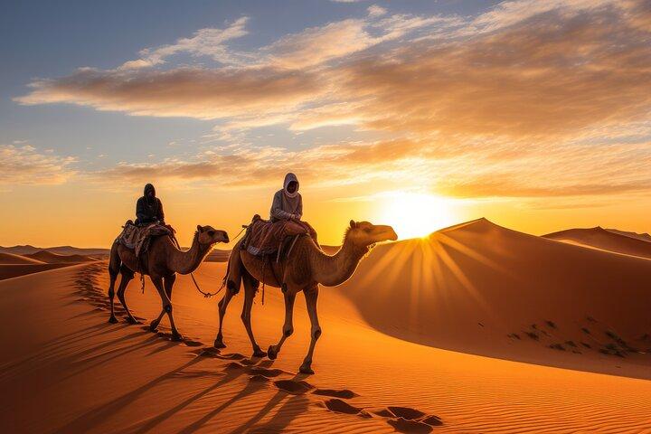 Camel trekking at sunset in the Sahara